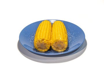 Cooked pair of maize (corn) served at dish with salt isolated at white background, closeup, details