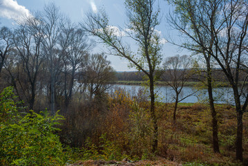 Fototapeta na wymiar view of the don river through the trees