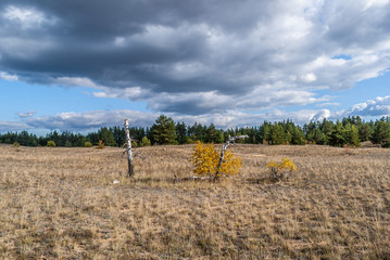 Sands in the Rostov region