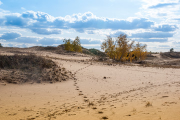 Sands in the Rostov region