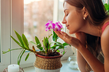 Woman smelling dendrobium orchid on window sill. Housewife taking care of home plants and flowers.