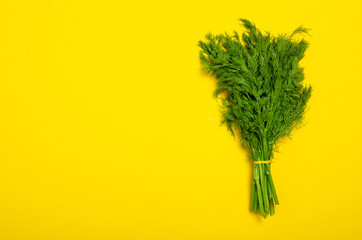 fresh bunch of dill on yellow background, top view