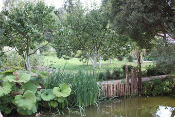 bridge in garden