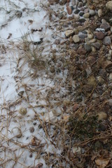 rocks, dead grass, and snow