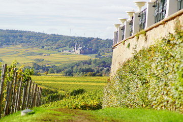 Ein Blick von der Ferne auf die Abtei St. Hildegard mit Windrädern im Hintergrund und Feldern und...