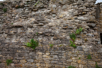 Medieval wall of Scarborough castle. North Yorkshire, Great Britain.