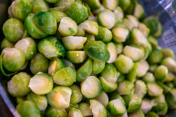 fresh green salad
