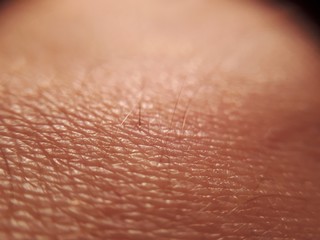Human skin. Macro photo. Close up.
