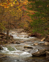 Naklejka na ściany i meble stream in the forest with autumn foliage