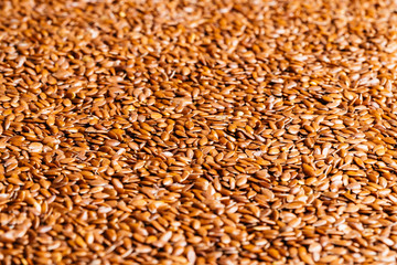A group of raw flaxseeds