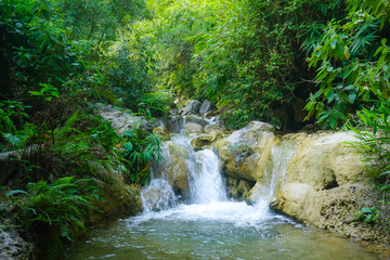 A small waterfall in the jungle of Rishikesh