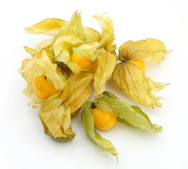 several physalis fruits in leaves on a white background