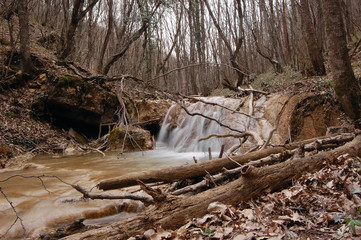 Water flow in a early spring forest. Crimea. Russia