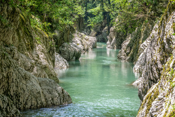 Naklejka premium Mountain river in the stone gorge.
