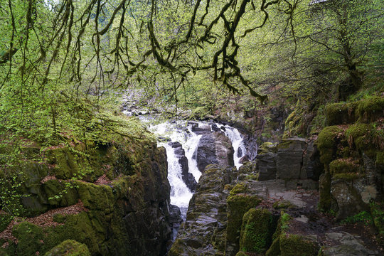 The Black Linn Falls In The Hermitage In Dunkeld