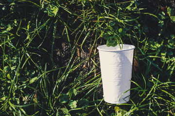 plastic cup lay down on grass in the nature, global environment pollution, space for text