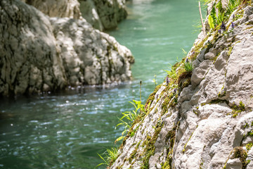 Mountain river in the stone gorge.