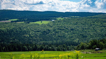 landscape with green field and blue sky