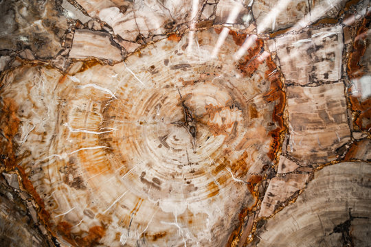 Natural Stone and marble Textures  