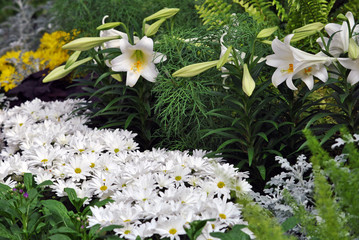 An attractive grouping of lilies, chrysanthemums, and ferns.