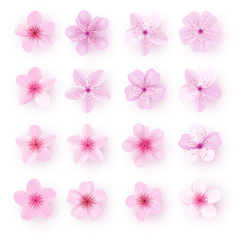 Realistic pink sakura petals icon set. Cherry flowers