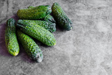 Rotten cucumbers with toxic mold lie on a dark background . Horizontally. Copy space.
