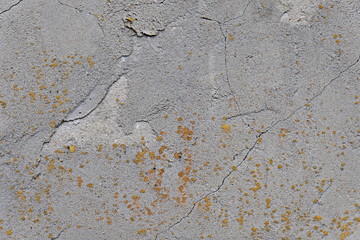 Wall background texture. Gray plaster in cracks with traces of fungus. For design and web design, creating games 3D texturing .