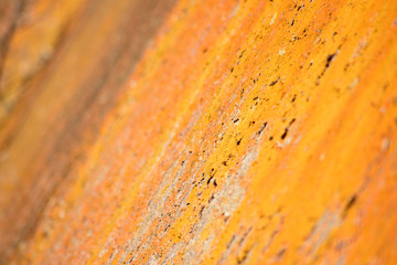 concrete fully covered with orange lichen