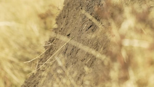 Soil ramp on dirt bike trail South Island