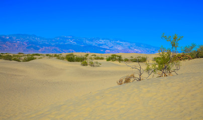 Fototapeta na wymiar Sand dunes in a desert landscape in Death Valley California