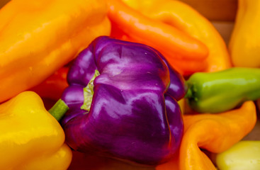 Pick a purple pepper