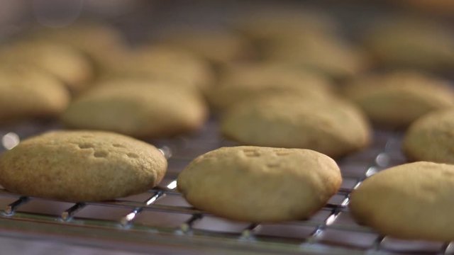 Cookies kept on a pan before baking