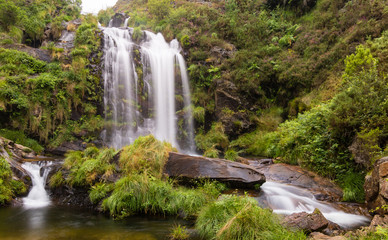 Cascada rodeada de exuverante vegetación verde