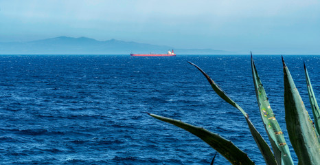 naturaleza y mar