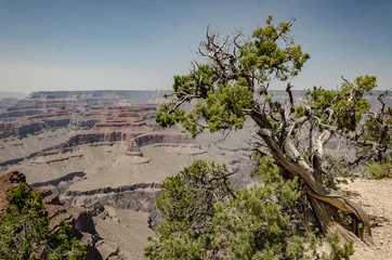 grand canyon