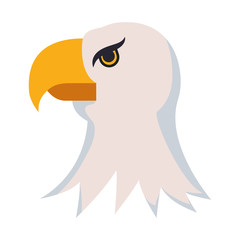 Isolated eagle bird vector design