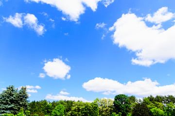 white fluffy clouds on a background of blue sky