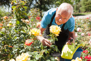 Male holding watering can at flowerbed