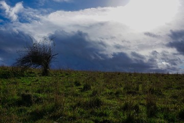 Obraz premium Herbstimpression