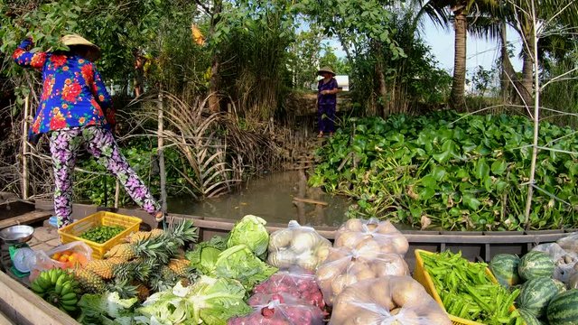 Asian boat female selling fruit and vegetables Vietnam