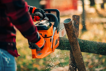 Close-up image of a man cutting tree log.