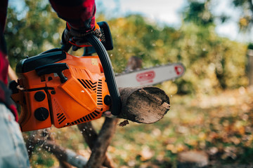 Using chainsaw to cut tree trunk, copy space.