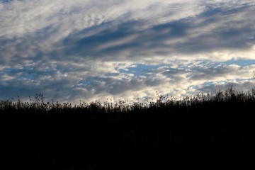 A view of the cloudscape in the evening skies.