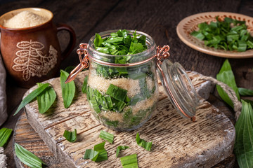 Preparation of ribwort plantain syrup against cough