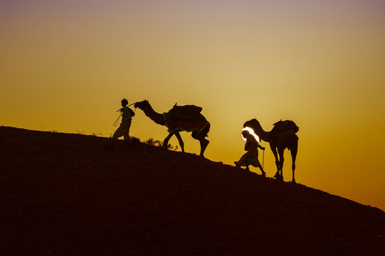 Two Rabari men climbing a dune with their dromedaries at sunset, Great Rann of Kutch Desert, Gujarat
