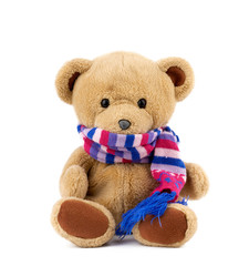 cute brown teddy bear in a colored knitted scarf sitting on a white background