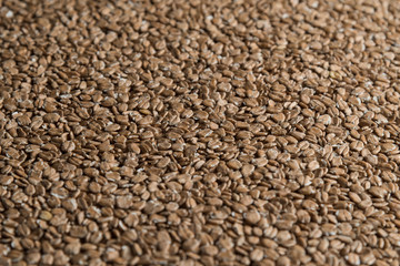 Chit wheat flakes grains background. Сereals for the production of alcoholic beverages and animal feed. Flat lay