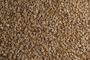 Chit barley flackes malt background. Сereals for the production of alcoholic beverages and animal feed. Flat lay