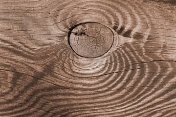 Texture of old sawn board with knots