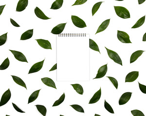 White notebook isolated on a white background and green leaves pattern. Spring View from above.